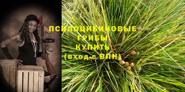амфетамин Алексин