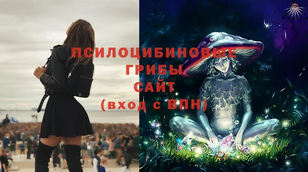 ECSTASY Алзамай